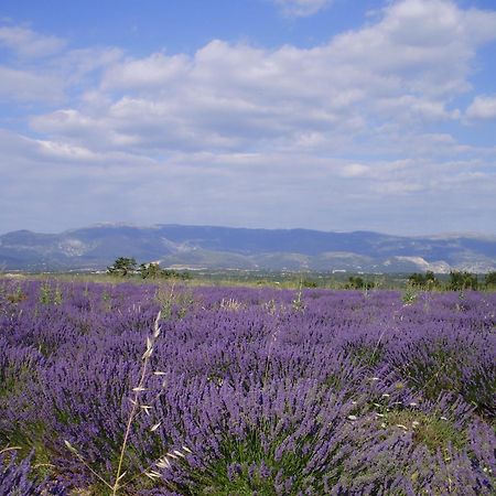 Hotel Du Moulin Allemagne-en-Provence Exteriör bild