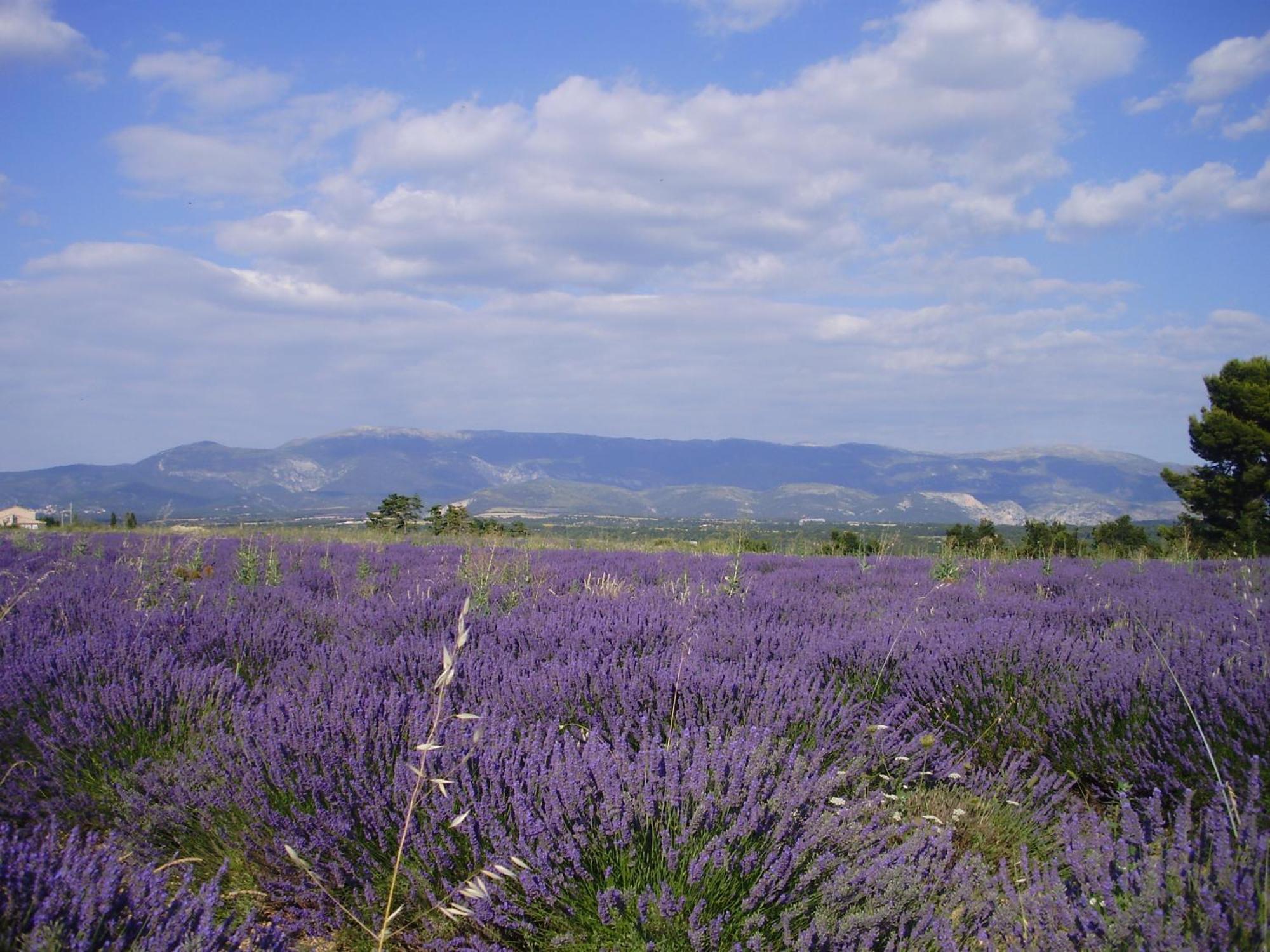 Hotel Du Moulin Allemagne-en-Provence Exteriör bild
